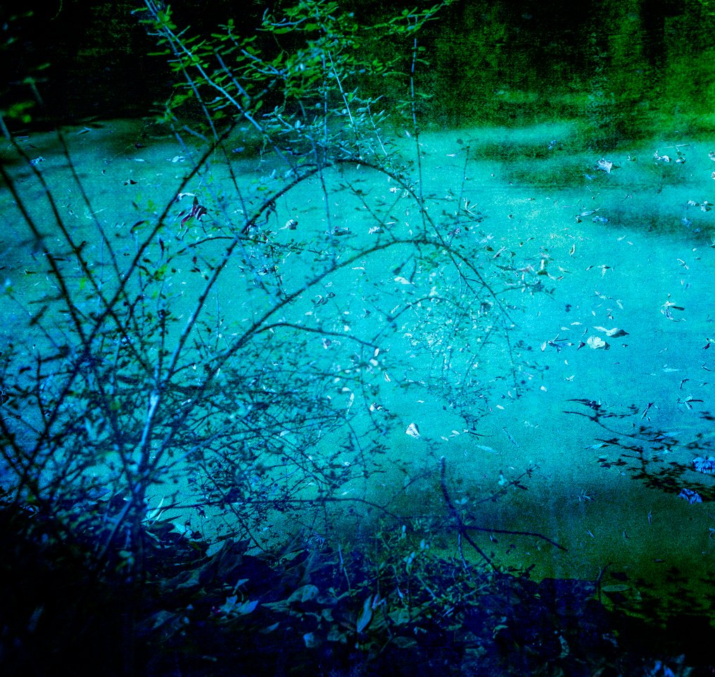 Viet Ha Tran - Silence of the moon #1.0