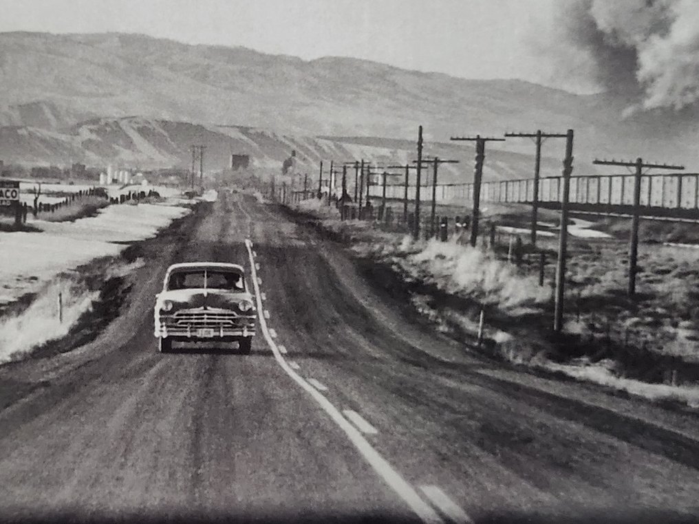 Elliott Erwitt (1928-2023) - Etats-Unis, 1954 #4.3
