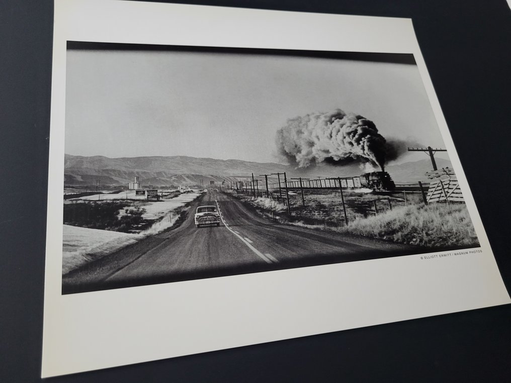 Elliott Erwitt (1928-2023) - Etats-Unis, 1954 #3.2