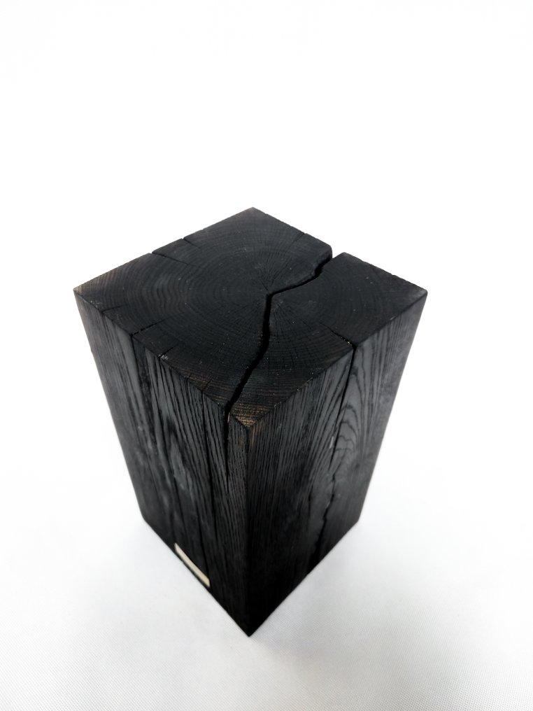 THE FOREST - Lampebord - Egetræ - Håndlavet #2.1