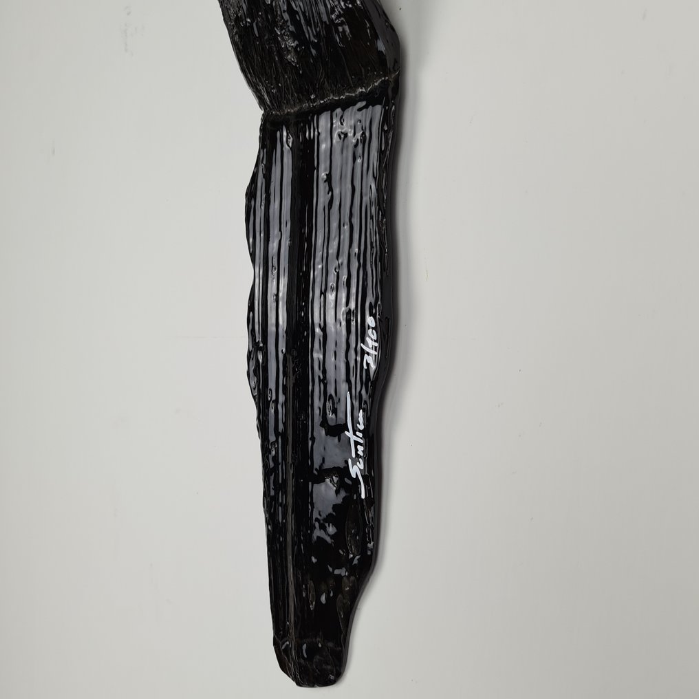 Santicri (1992) - Picture Total Black #3.2