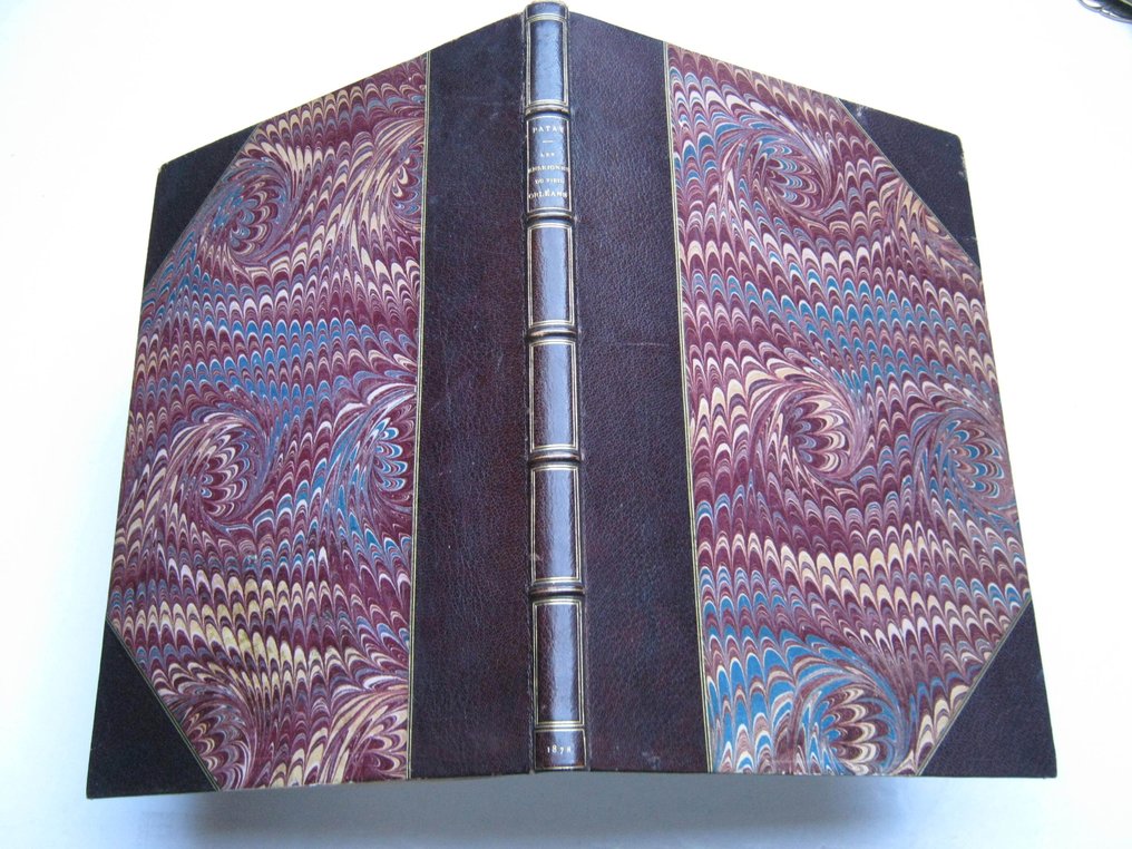 ‎Patay (Docteur) - Les enseignes, emblèmes et inscriptions du Vieil Orléans. Avec XVI planches dessinées d'après nature - 1878 #1.0