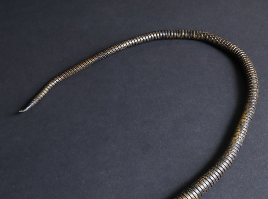 自在蛇置物 - 明治時期（1868-1912） #4.3