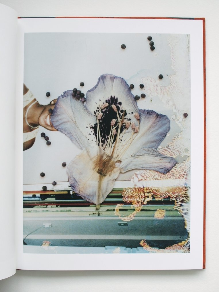 Signed; Stephen Gill - Hackney Flowers - 2007 #4.3