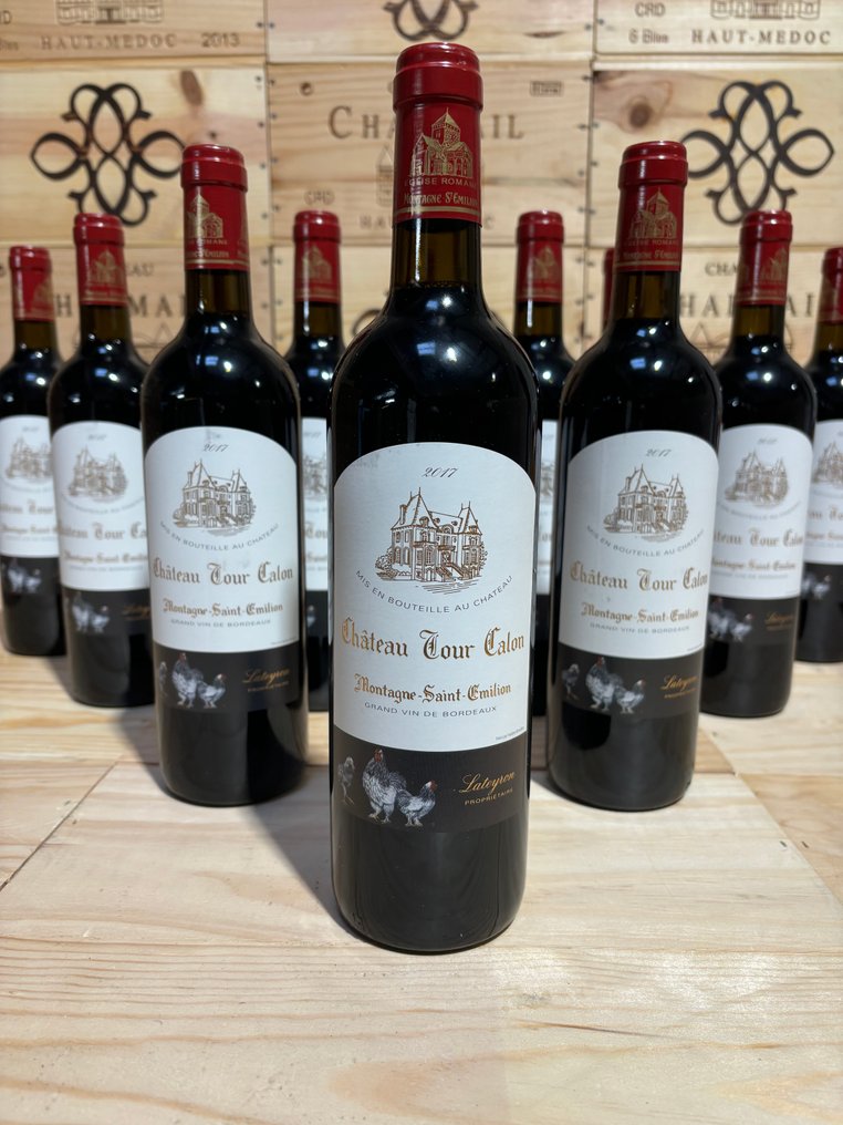 2017 Château Tour Calon, Premier des Tours - Saint-Émilion - 12 Pullot (0.7 L) #3.2