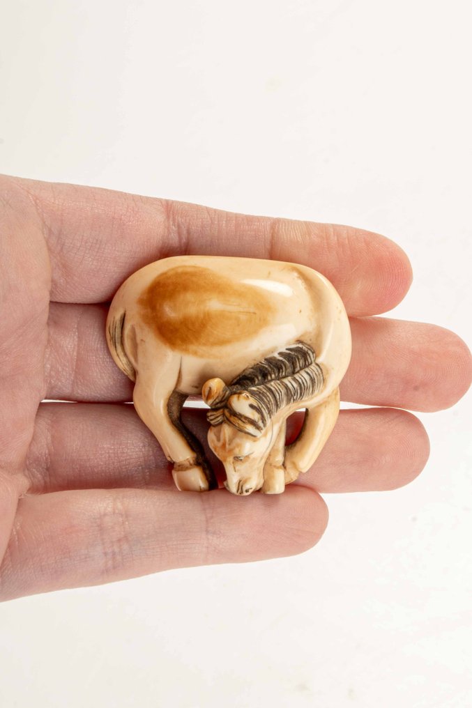 A fine ivory netsuke depicting a horse in a twisting motion. - Ivory - Japan - Meiji period (late 19th century) #1.0