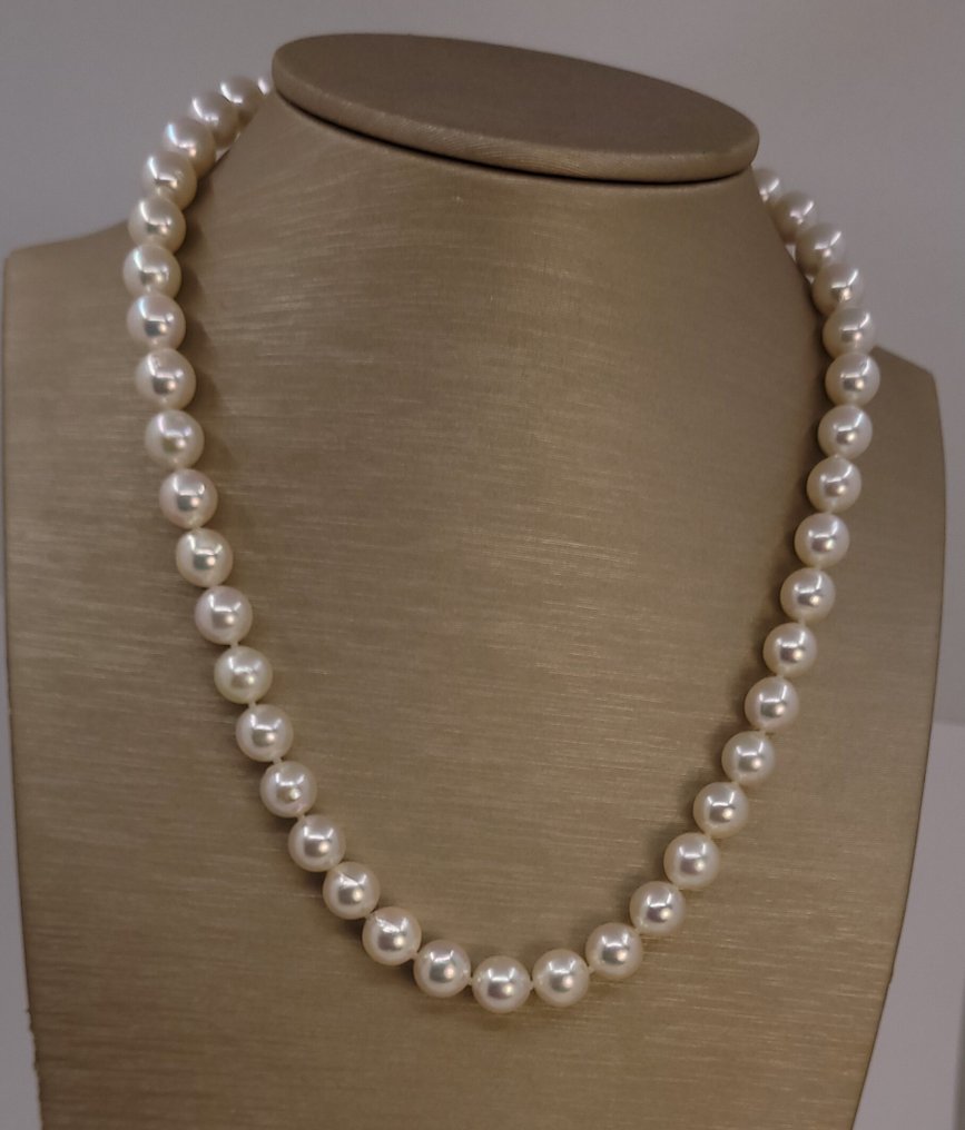 项链 银, 8x8.5毫米明亮的Akoya珍珠 #4.3