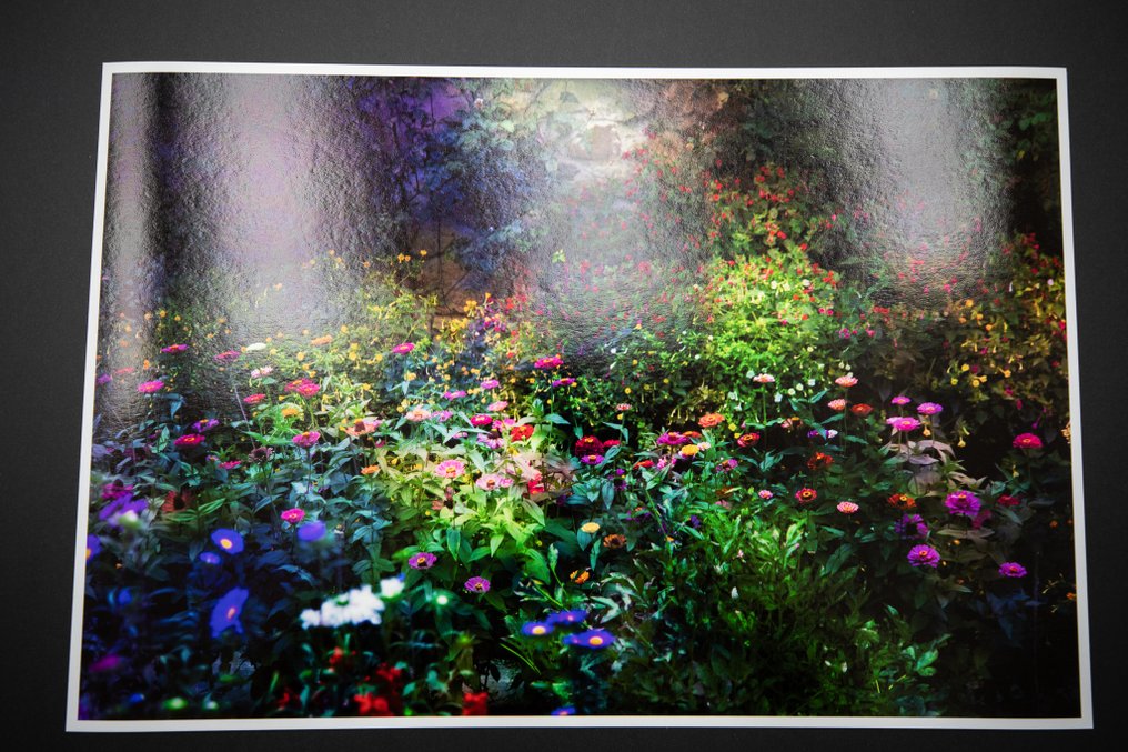 Viet Ha Tran - Night garden #1.0