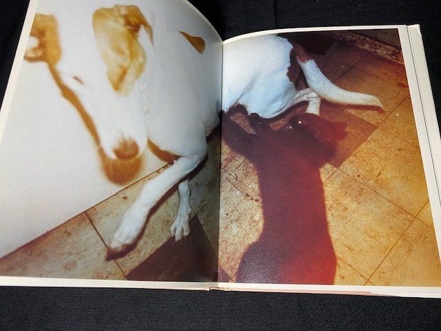 Richard Billingham - Ray is'n Witz (FIRST PRINTING, MINT CONDITION, SHRINK-WRAPPED) - 1996 #1.0