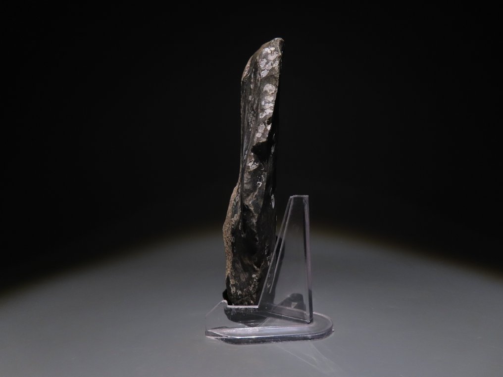 Europe Flint Hand axe - knife. 14,5 cm H. Neolithic, 6000 - 4000 BC  (No reserve price) #1.0