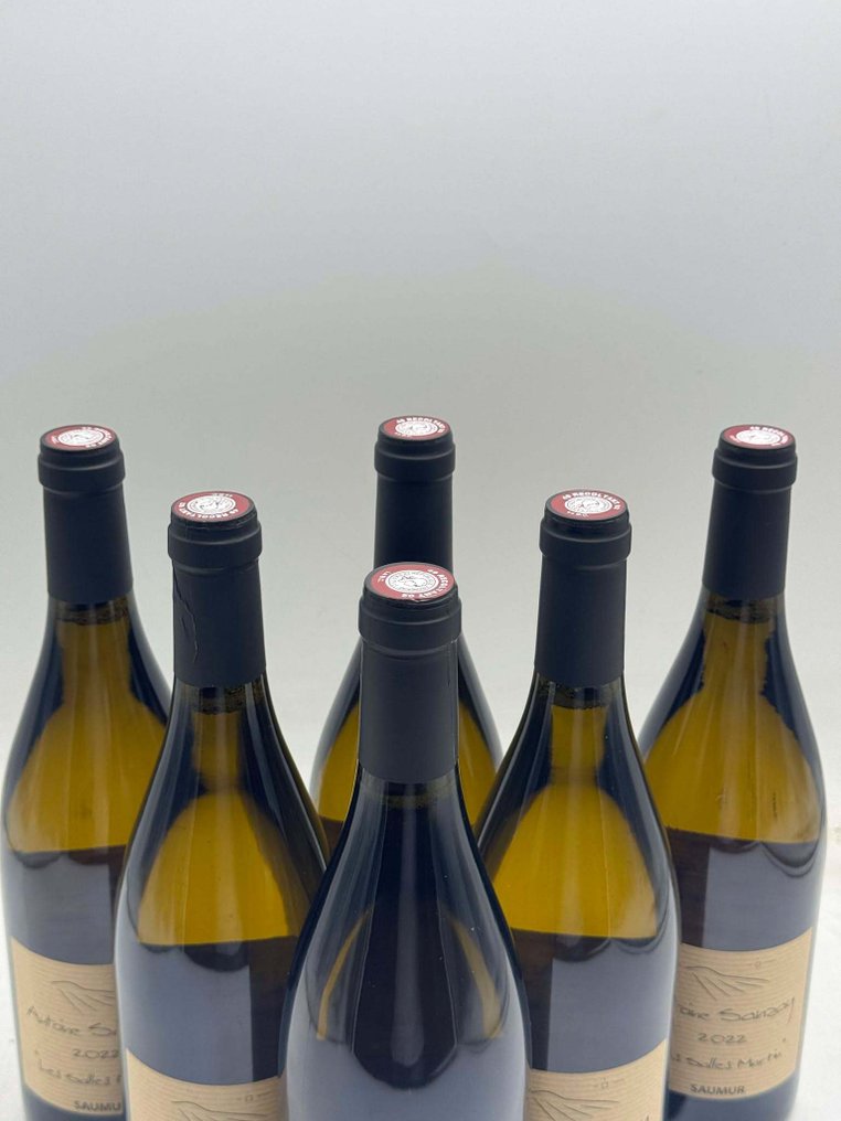 2023 Antoine Sanzay "Les Salles Martin" Saumur - 卢瓦尔河 - 6 Bottles (0.75L) #3.2