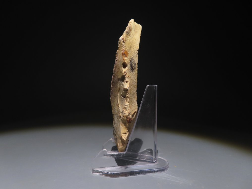 Europa Vuursteen Handbijl - mes. 11,3 cm H. Neolithicum, 6000 - 4000 v.Chr. (Zonder Minimumprijs) #1.0
