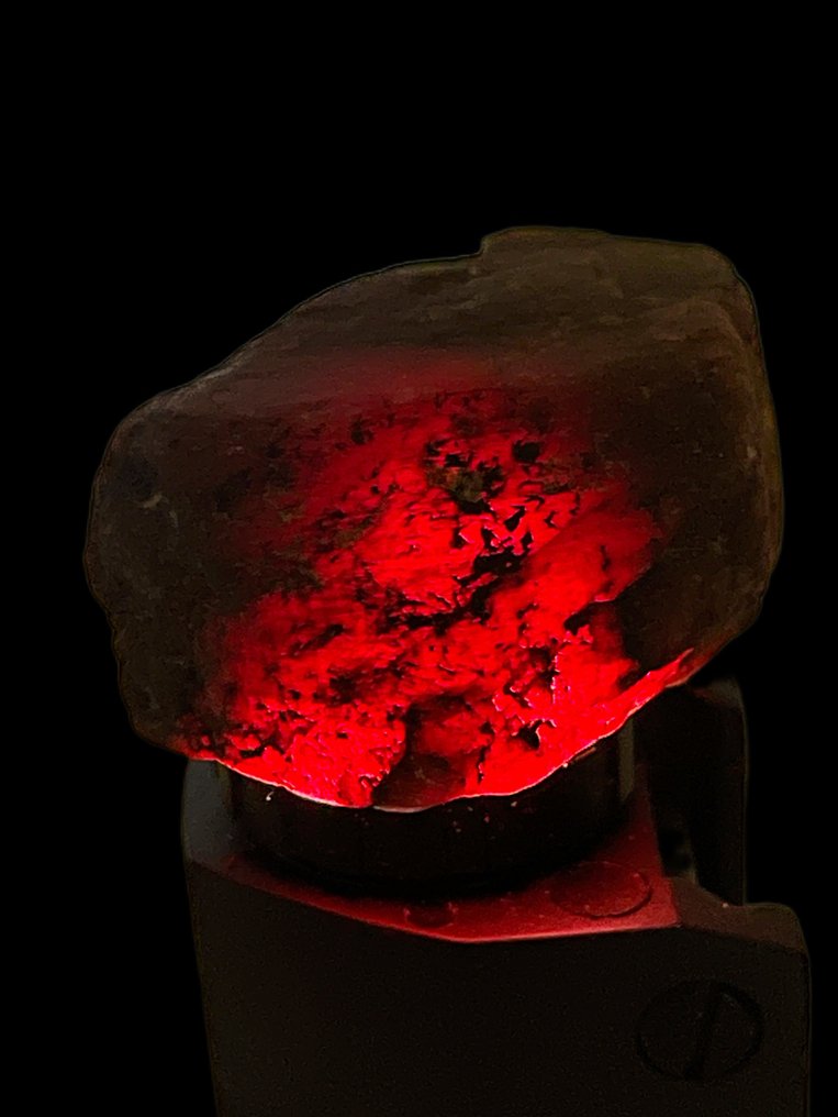 Ruby 粗糙的。 248.5 克拉美妙的莫三比克血紅寶石水晶。 %100 天然 - 高度: 38 mm - 闊度: 26 mm- 49.7 g #3.2