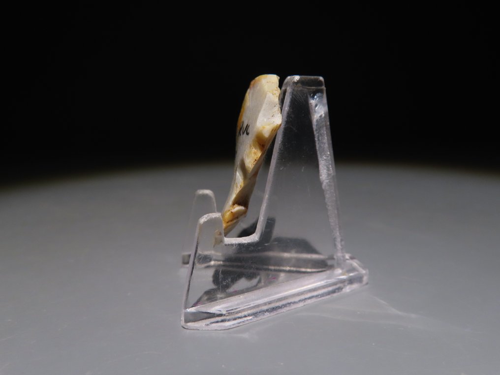 歐洲 燧石 手斧-刀。 3.6 公分高。  (沒有保留價) #1.0