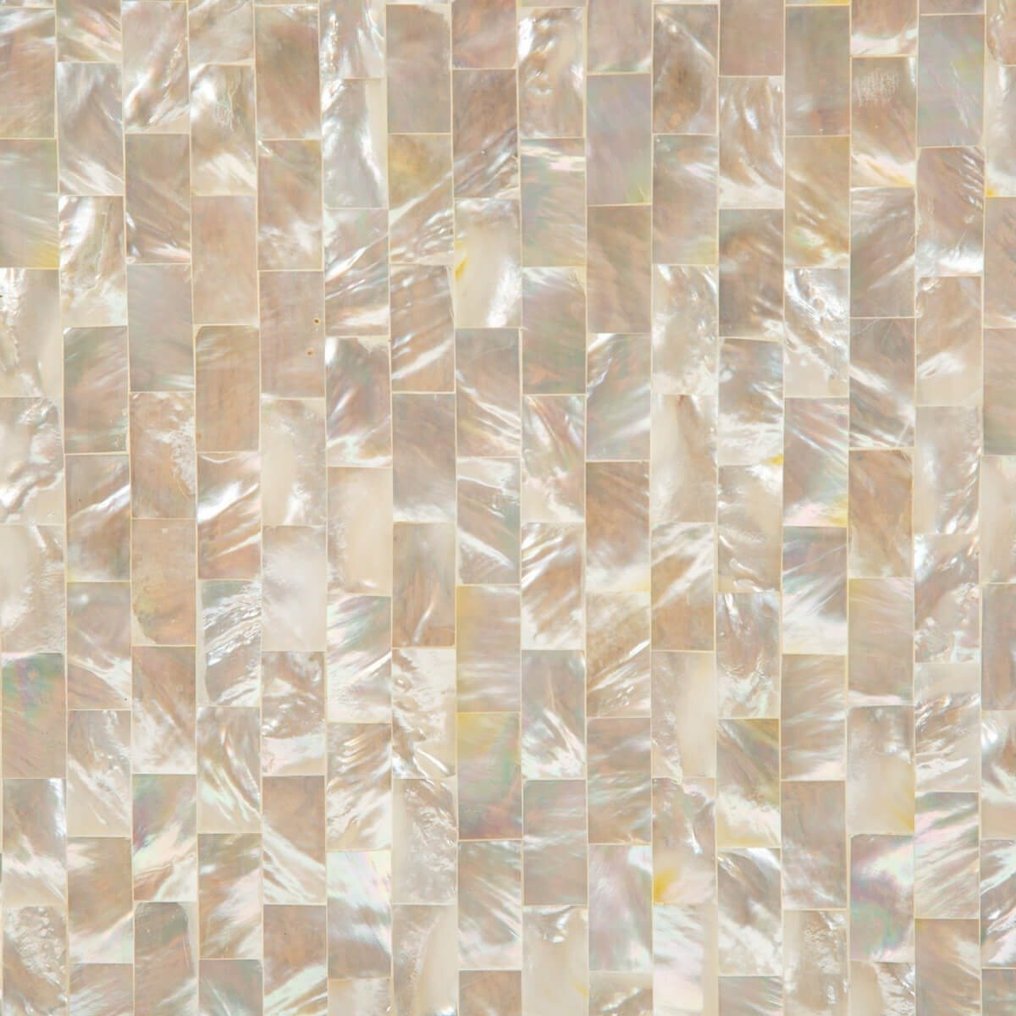 Really exclusive - Mother of Pearl - Refined tray sushi plate - Height: 400 mm - Width: 300 mm- 800 g #4.3