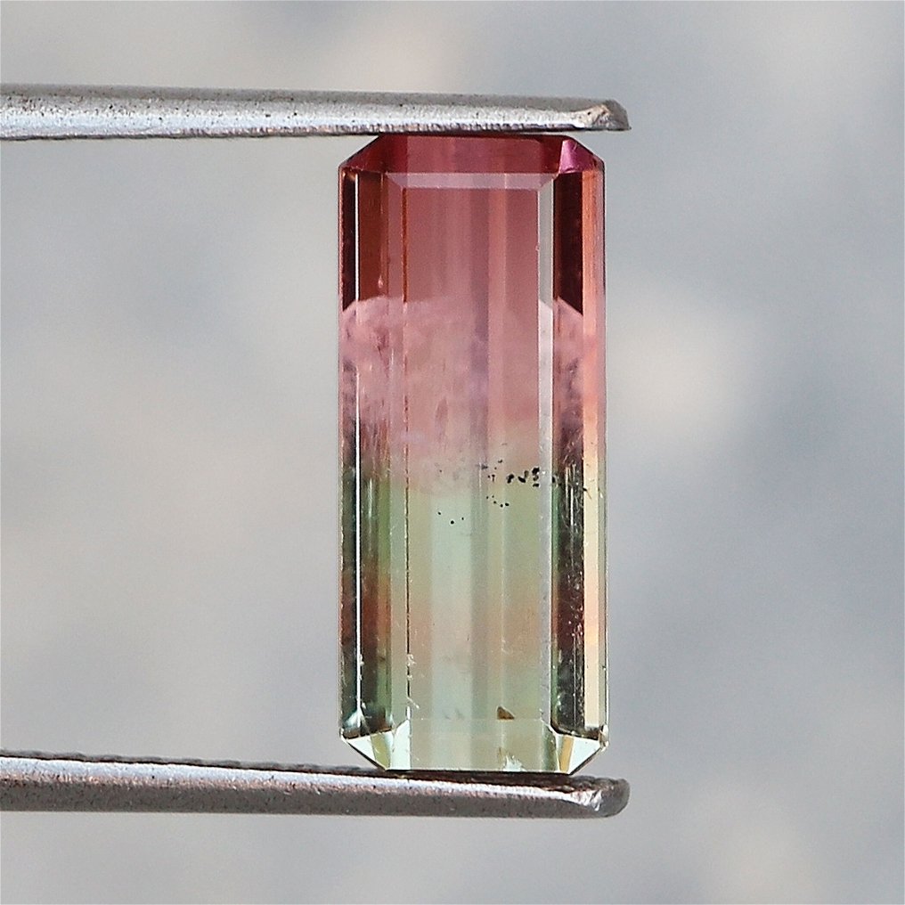 1 pcs  Bicolore Tourmaline  - 3.24 ct - International Gemological Institute (IGI) #4.3