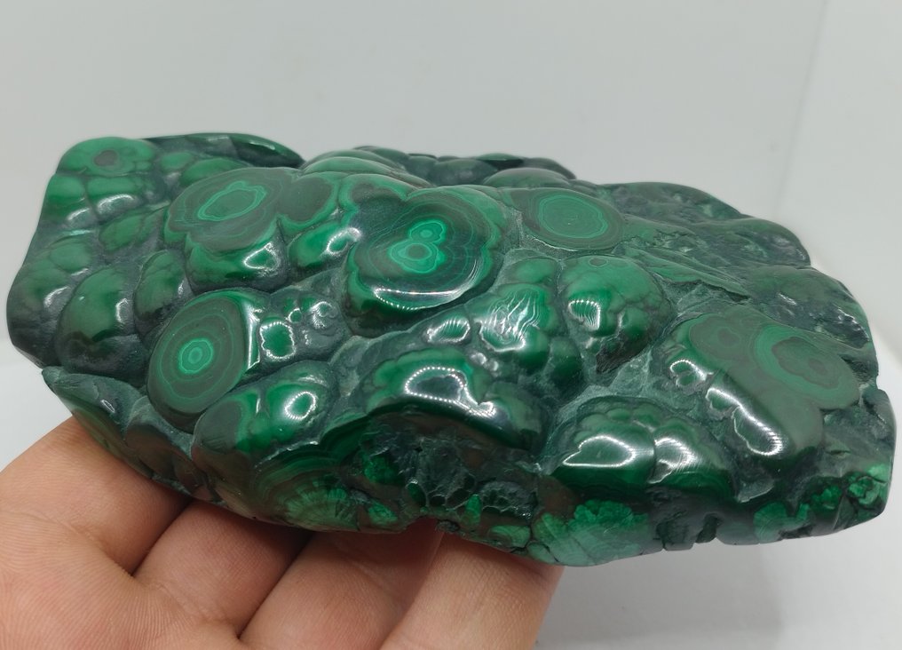 美丽的孔雀石 - 眼睛模型 - 自由形式- 490 g #1.0