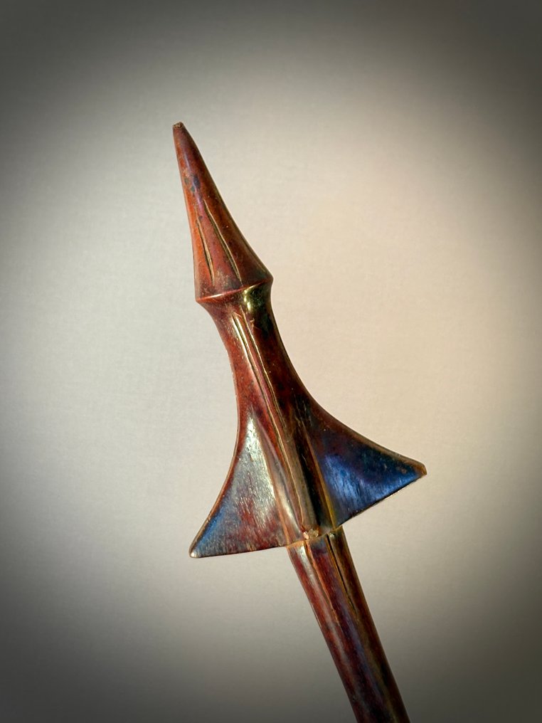 Brustbein-Piercer - Pentecost Island - Vanuatu #2.1