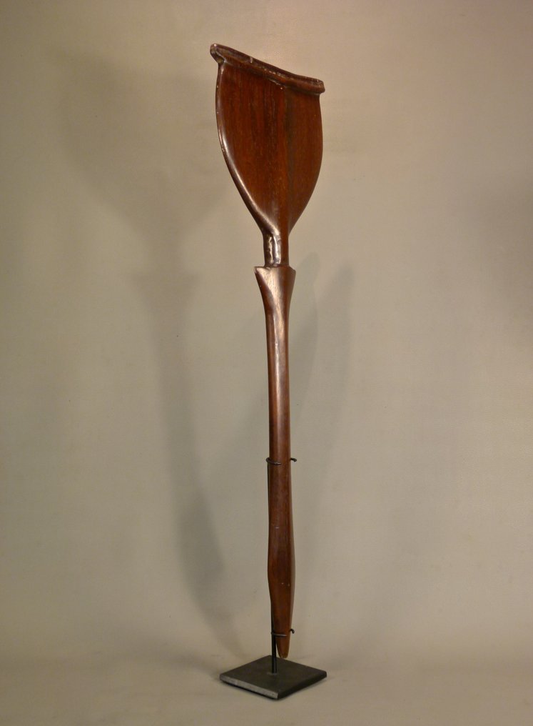 Club - Amazon - SAPAKANA - Guyana #4.3