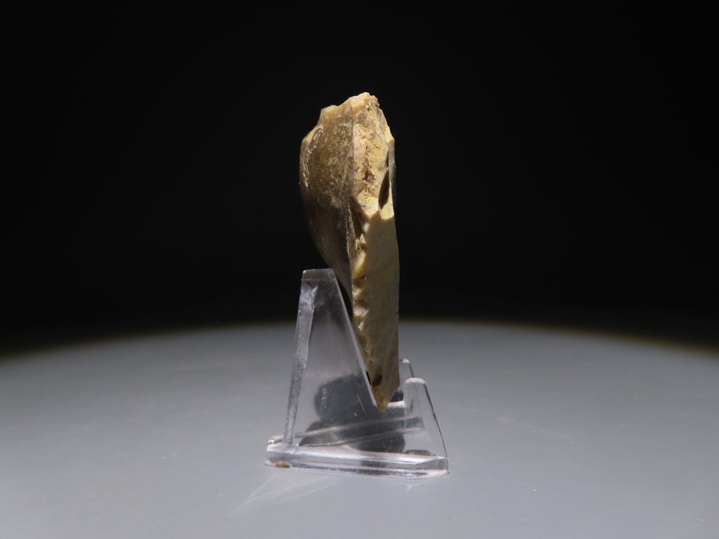 Europe Flint Hand axe - knife. 6,1 cm H. Neolithic, 6000 - 4000 BC  (No reserve price) #3.2