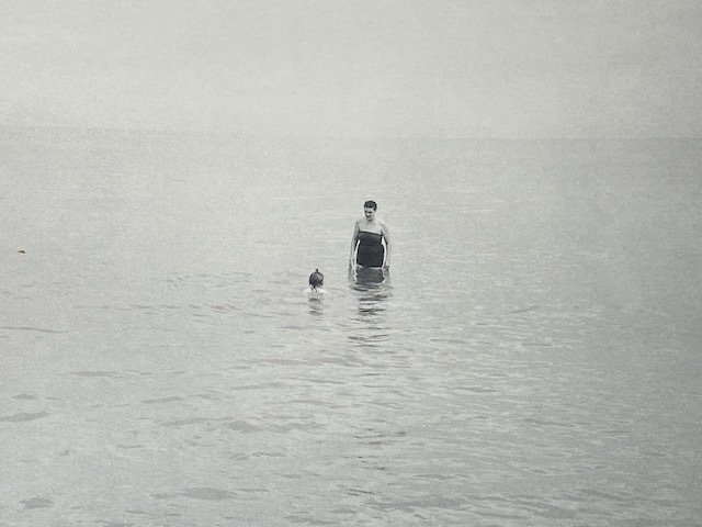 SIGNED; Harry Callahan - Water's Edge (VINTAGE DEDICATION) - 1980 #1.0