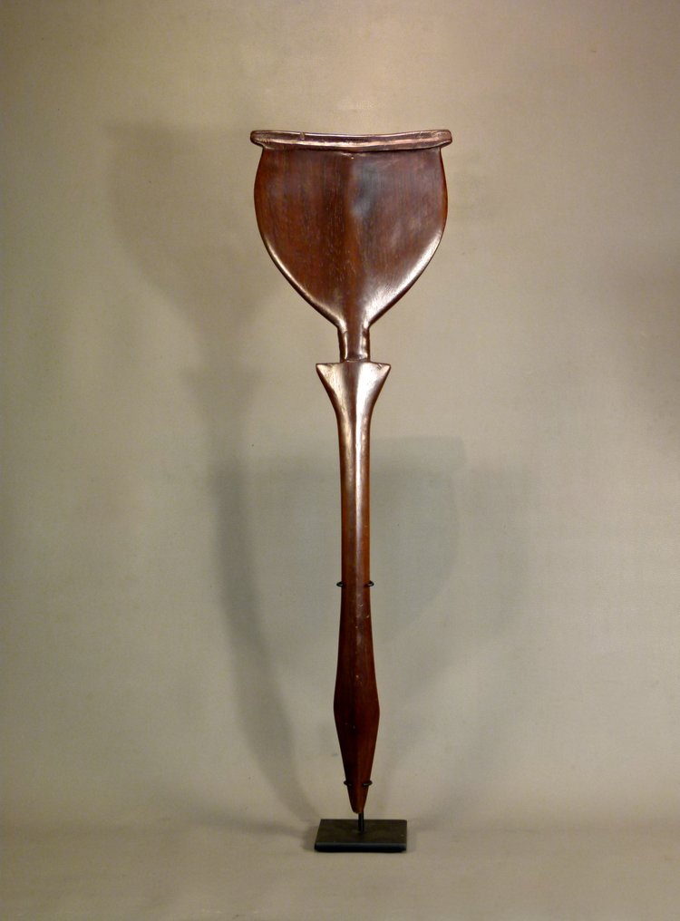 Club - Amazon - SAPAKANA - Guyana #2.1