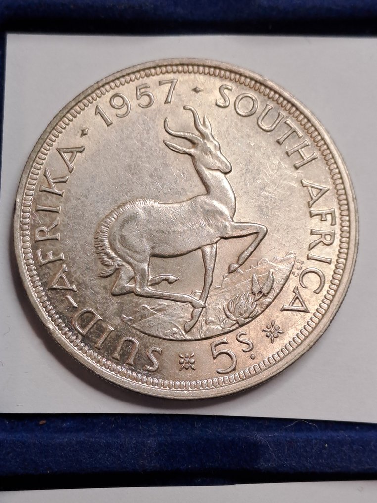 南非. Giorgio VI° e Elisabetta II. Lotto di 5 scellini in argento #3.2