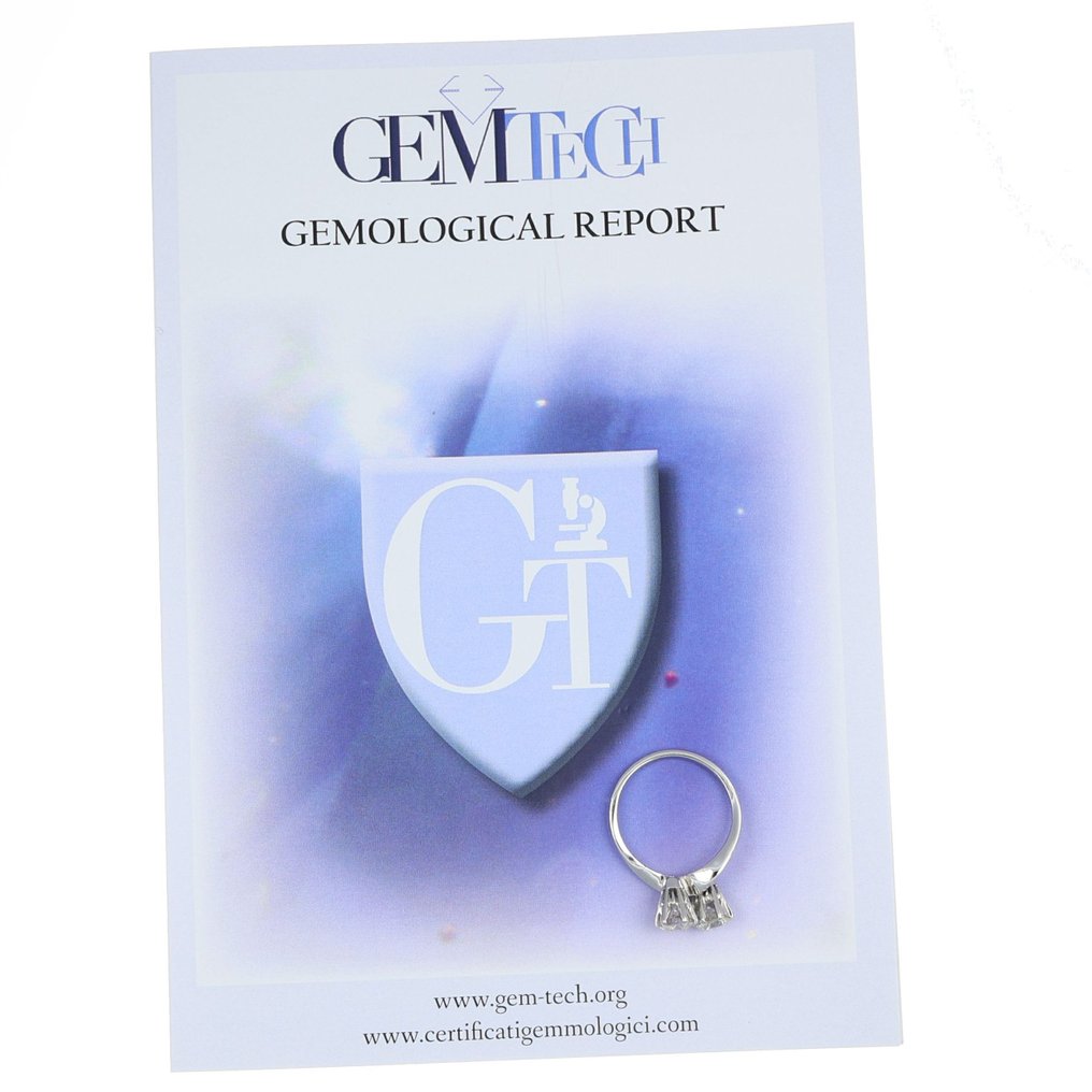 Ring - 18 karaat Witgoud Diamant (Natuurlijk) #1.0