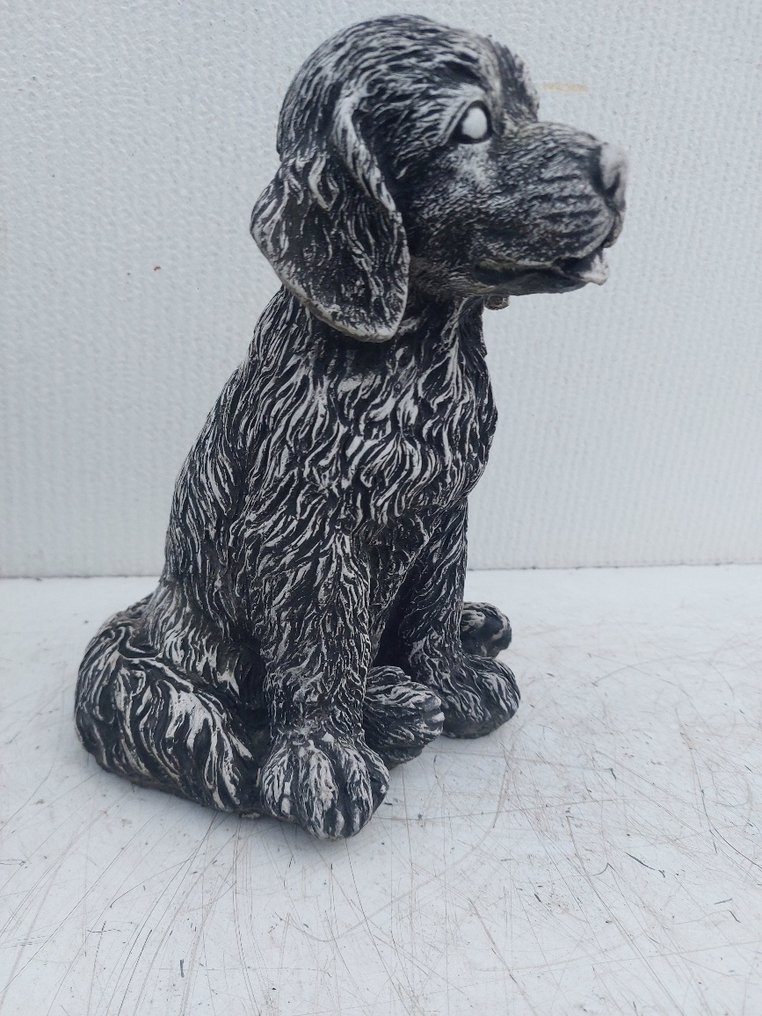 Statue, nice pub of a labrador - 26 cm - castone #2.1