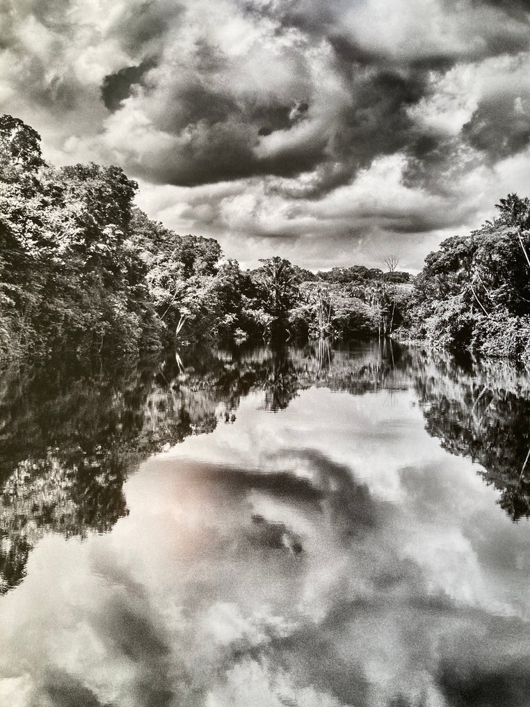 Sebastião Salgado (1944-2025) - Taschen - Amazonia. Paraná #1.0