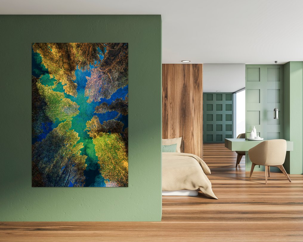 Jaime Oriz - Forest spectrum #2.1