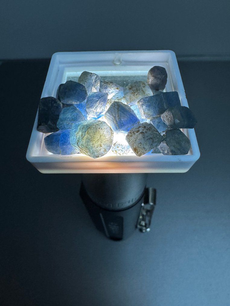 Természetes kék zafírok, nyers. 100 karát. Nincs minimális ár. Durva- 20 g - (28) #1.0