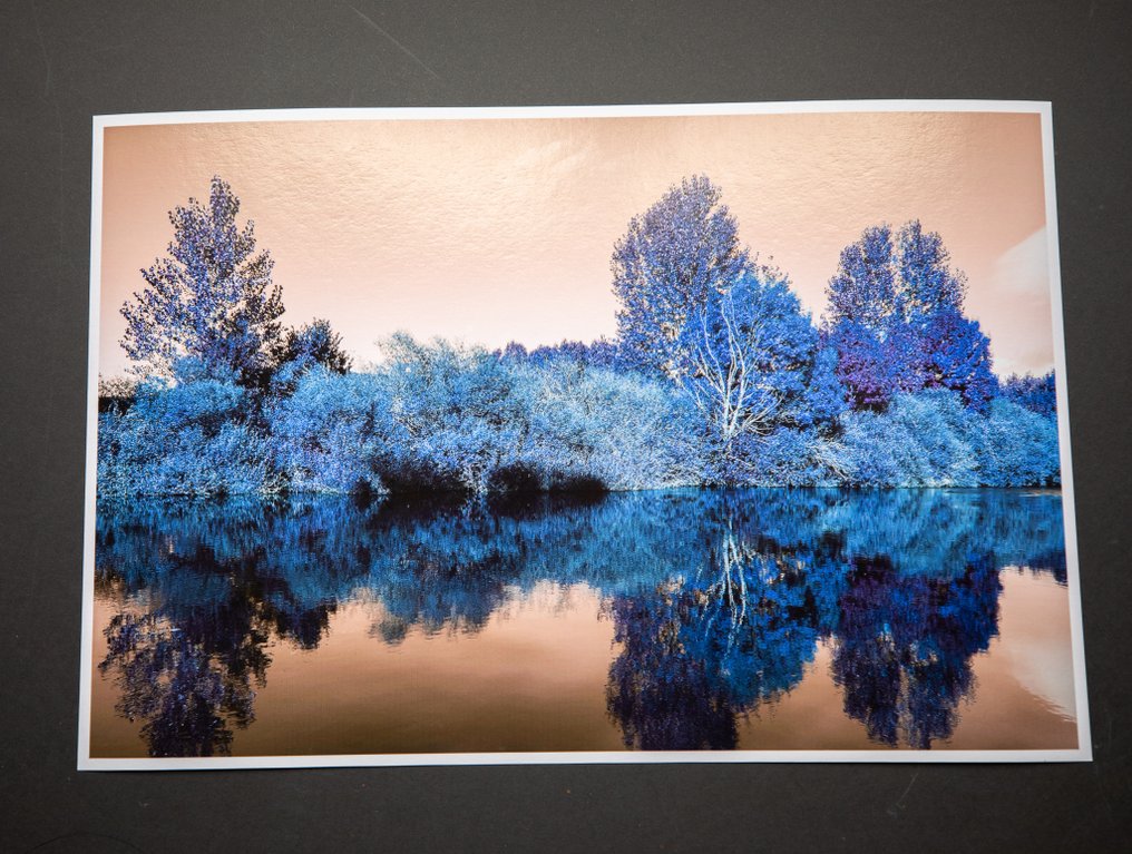 Viet Ha Tran - Nature and Seasons VI #1.0