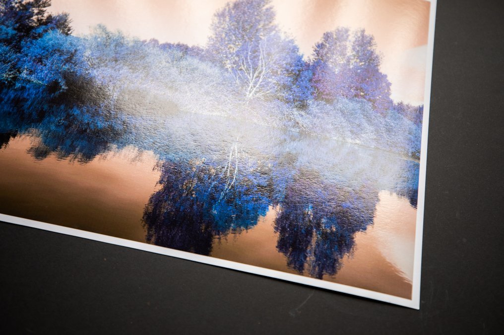 Viet Ha Tran - Nature and Seasons VI #3.2