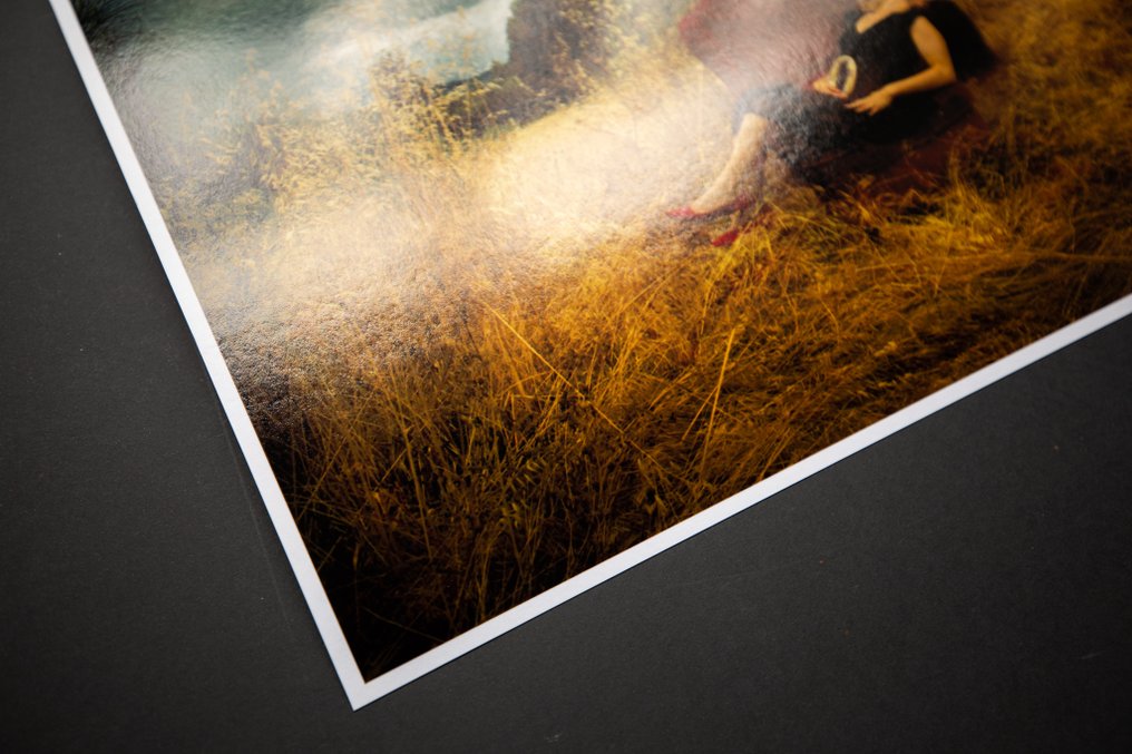 Viet Ha Tran - Afternoon on the field #2.1