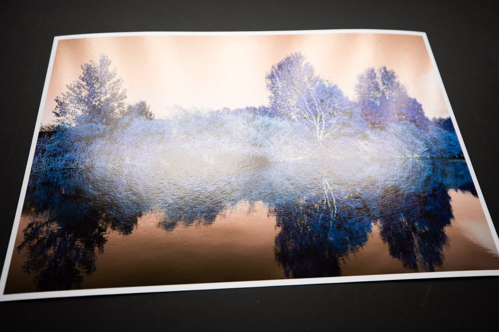 Viet Ha Tran - Nature and Seasons VI #4.3