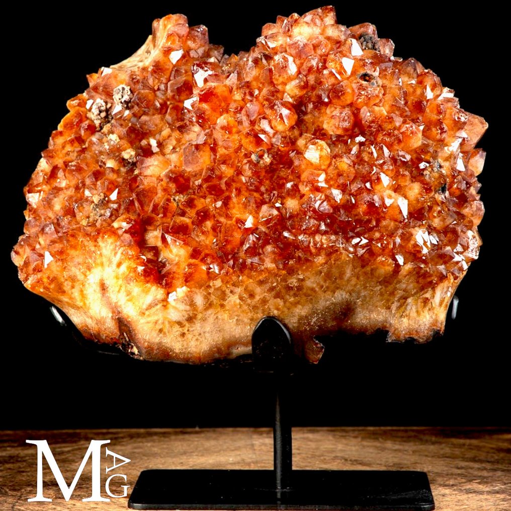 Exclusive Citrine Quartz Druzy - Madeira Geode - Natural Deep Color - Iron Base - Height: 351 mm - Width: 306 mm- 14.9 kg #3.2
