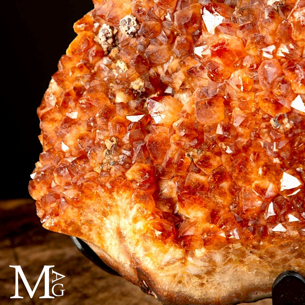 Exclusive Citrine Quartz Druzy - Madeira Geode - Natural Deep Color - Iron Base - Height: 351 mm - Width: 306 mm- 14.9 kg #2.1