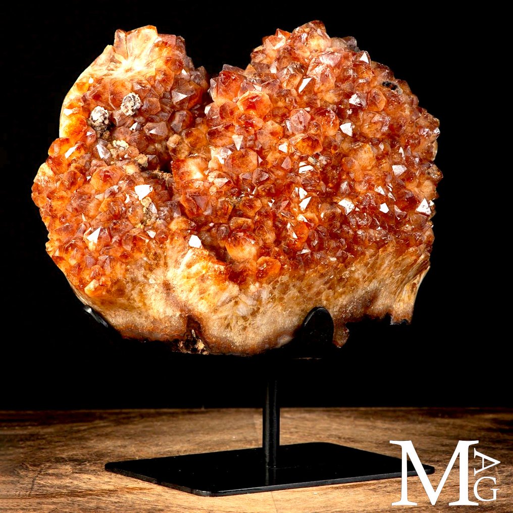 Exclusive Citrine Quartz Druzy - Madeira Geode - Natural Deep Color - Iron Base - Height: 351 mm - Width: 306 mm- 14.9 kg #1.0