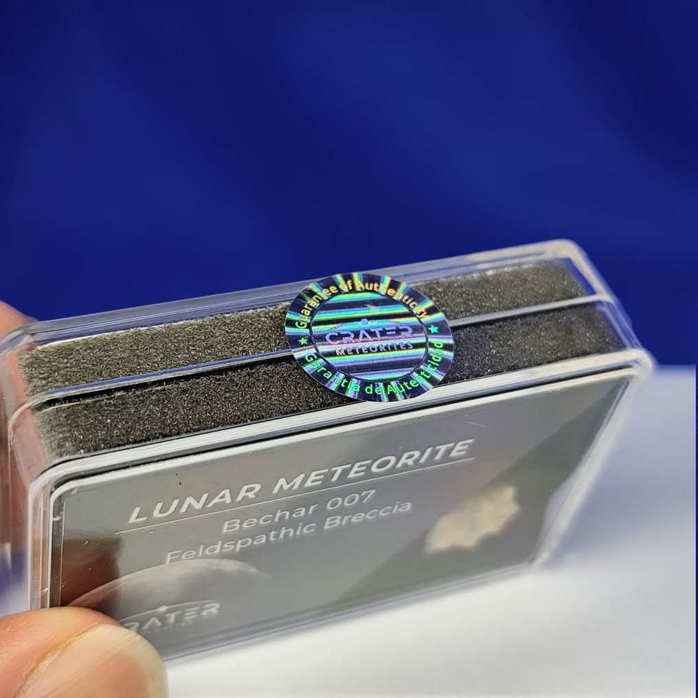 来自月球的真正陨石。 NEW!! BECHAR 007（阿尔及利亚，2022年）。 - 0.5 g #3.2