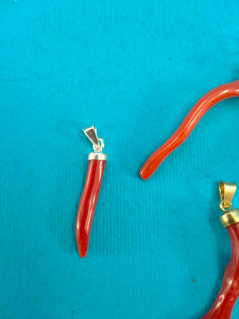 紅珊瑚 珊瑚 - Corallium Rubrum  (沒有保留價) #1.0