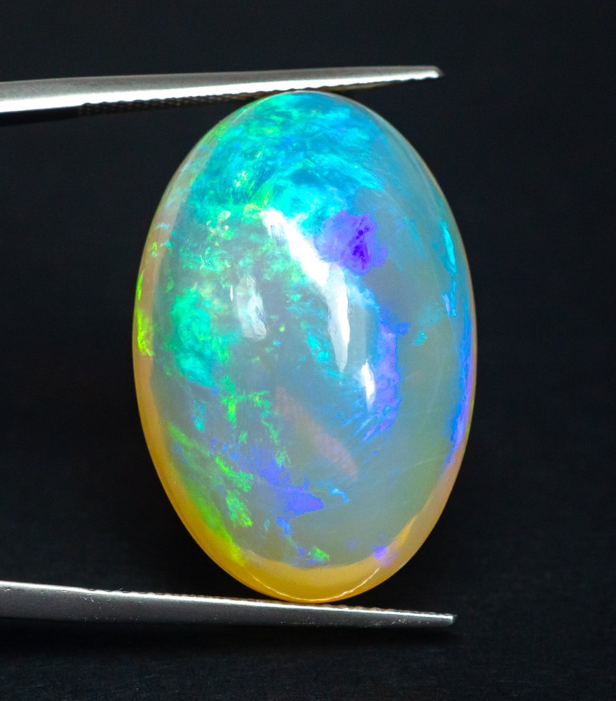 No Reserve Price Opal - 28.79 ct - Gem Report Antwerp (GRA) - White 'Play of Colors' #1.0