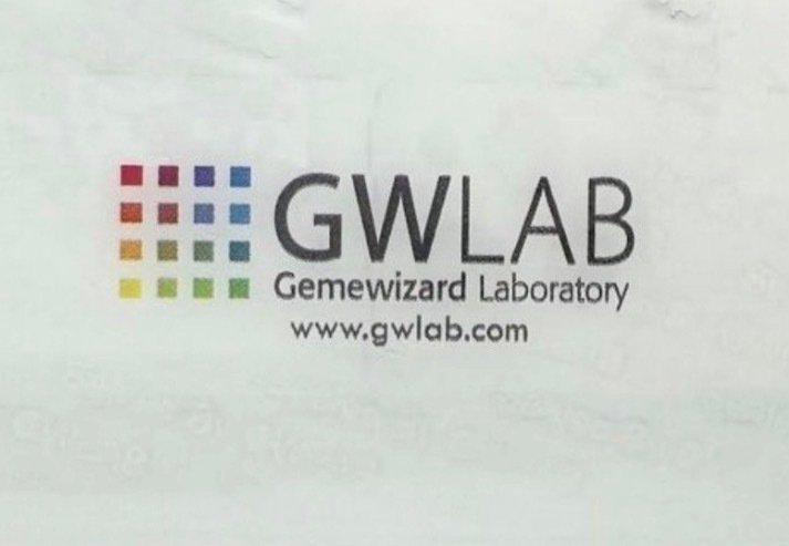 没有保留价 - 1 pcs 钻石 (天然) - 1.12 ct - 圆形 - J - SI2 微内三含级 - Gemewizard宝石实验室(GWLab) #4.3