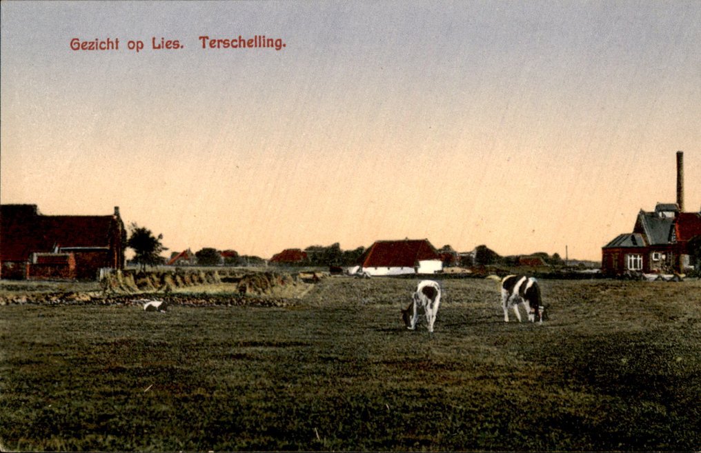 荷兰 - 瓦登海群岛 - 特谢林 - 明信片 (115) - 1900-1960 #2.1