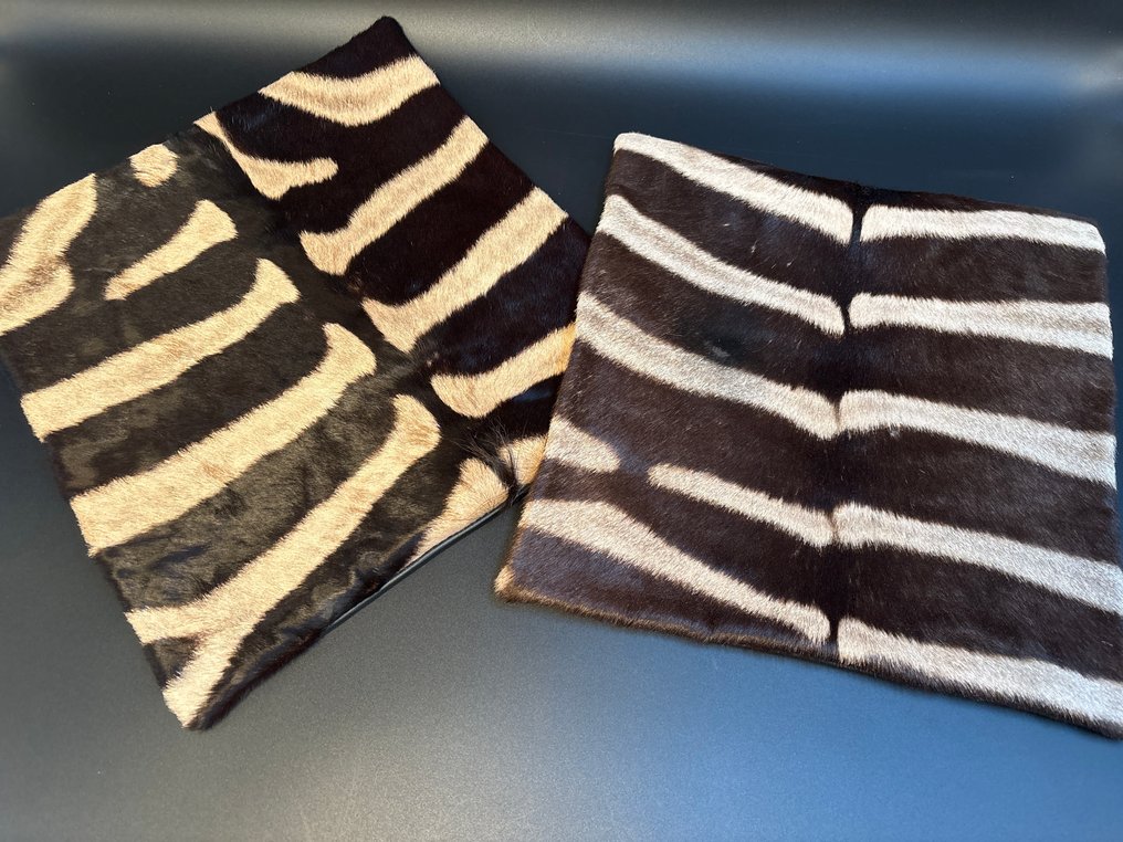 Ζέβρα Μελέτη του δέρματος - Equus quagga - 40 cm - 40 cm - 1 cm - Είδη που δεν ανήκουν στο CITES - 2 #2.1