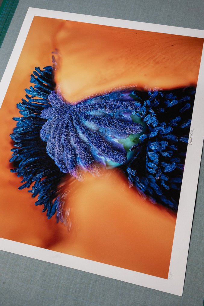 Inna Etuvgi - Chamber #4.3