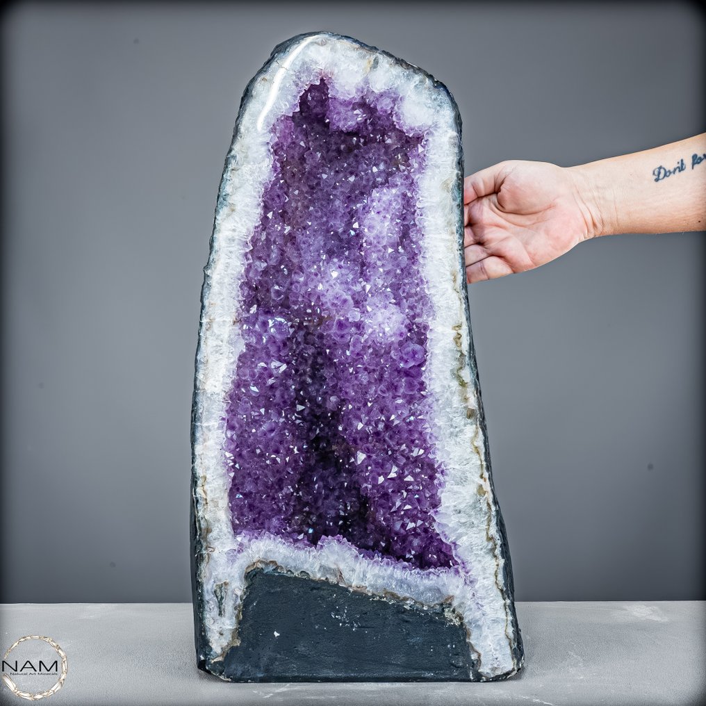 Μεγαλοπρεπή αμέθυστος-δρύση – 25 κιλά θαύμα της φύσης γεμάτο ενέργεια και κομψότητα Έργο τέχνης της φύσης- 25362.77 g #1.0