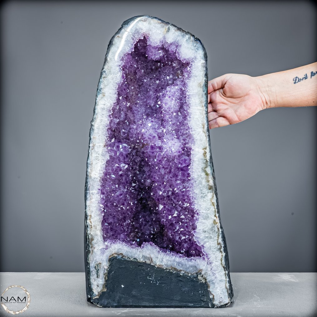 Μεγαλοπρεπή αμέθυστος-δρύση – 25 κιλά θαύμα της φύσης γεμάτο ενέργεια και κομψότητα Έργο τέχνης της φύσης- 25362.77 g #1.0
