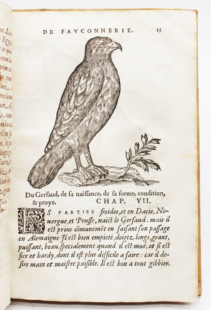 Tardif / Artelouche - Fauconnerie de Guill [Bound w:] Fauconnerie... de Alagona. - 1567 #2.1
