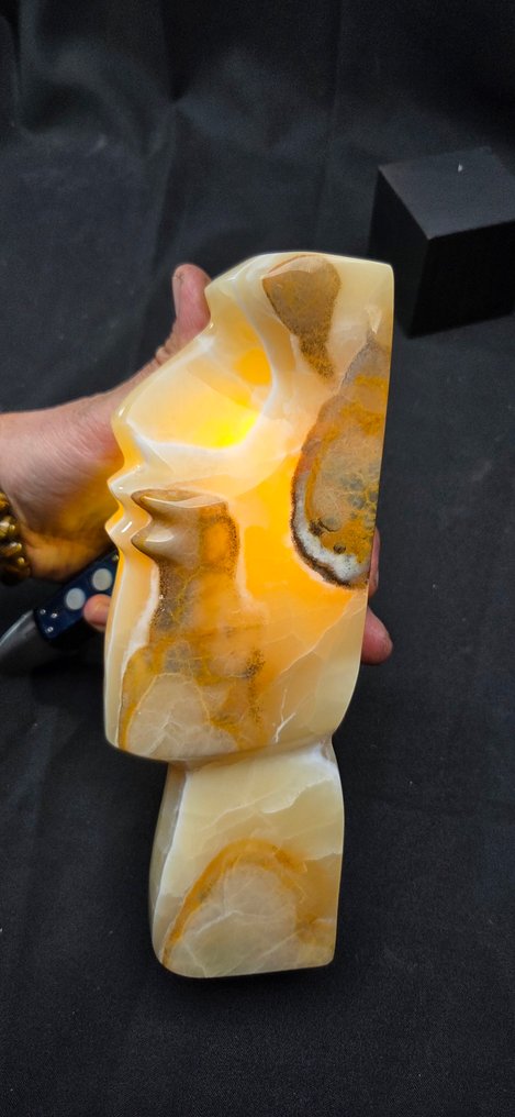 Curiosity Cabinet -Fabulous work of transparent albatre Moai - - Diorama #2.1